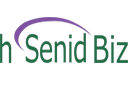 hSenid Biz